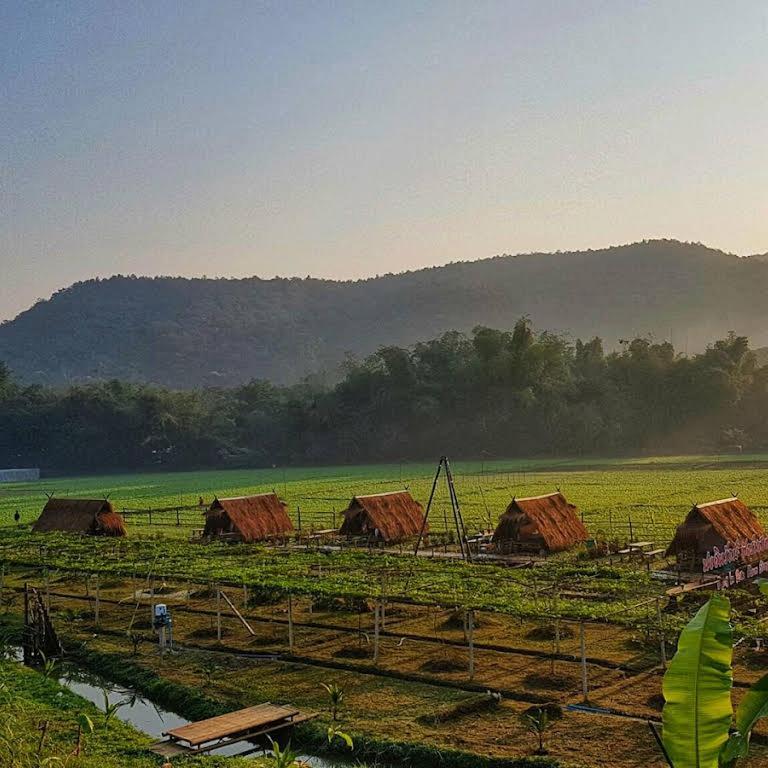 Ponginrakfarmstay ปงอินรักษ์ฟาร์มสเตย์ *