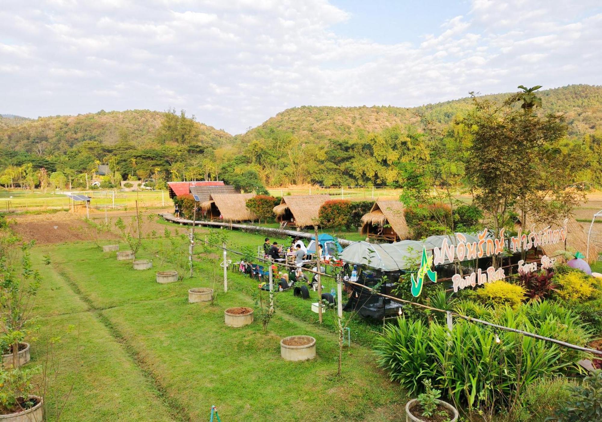 Ponginrakfarmstay ปงอินรักษ์ฟาร์มสเตย์ * Ban Huai Sieo